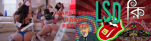 стафф Алексин